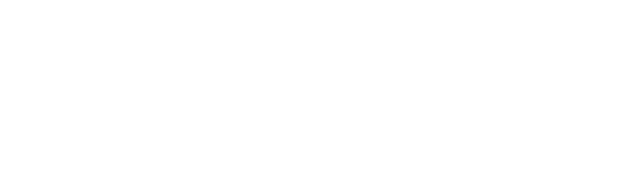 Header Footer Logo-02